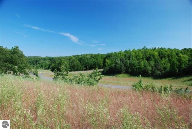 LOT71 S Skye Hill Dr, Traverse City, MI 49684 - photo 21