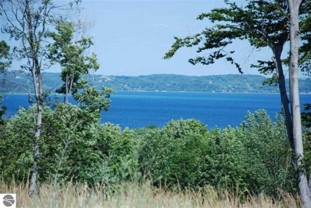 LOT71 S Skye Hill Dr, Traverse City, MI 49684 - photo 25