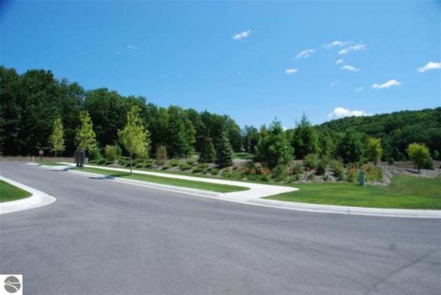 LOT71 S Skye Hill Dr, Traverse City, MI 49684 - photo 3