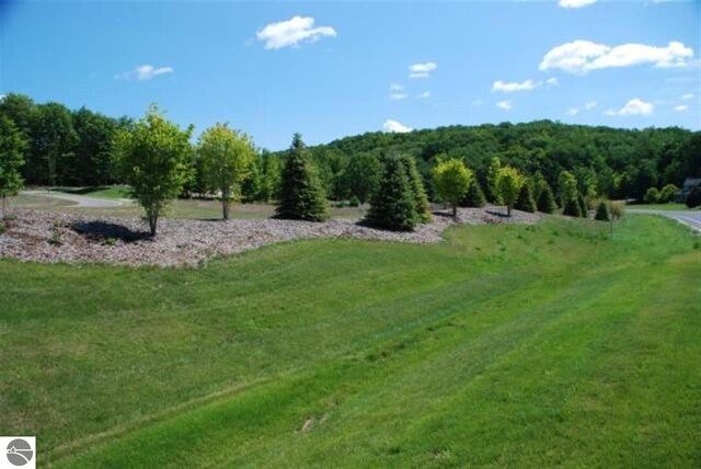 LOT71 S Skye Hill Dr, Traverse City, MI 49684 - photo 4
