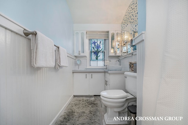 bathroom featuring vanity, toilet, and backsplash