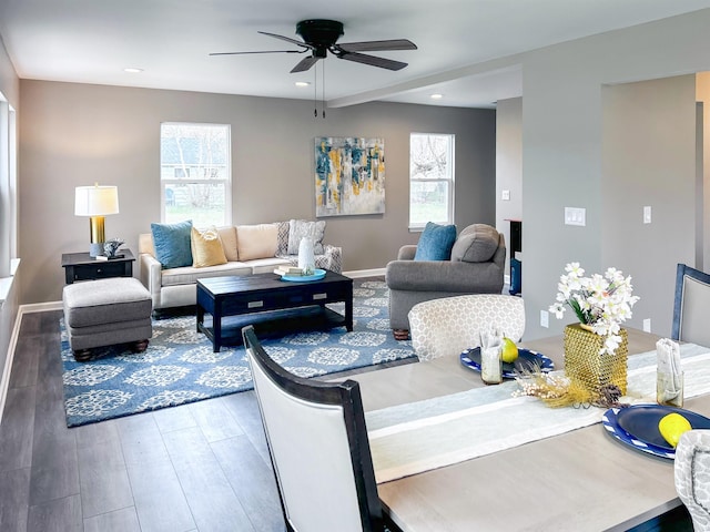 living room with ceiling fan and wood-type flooring