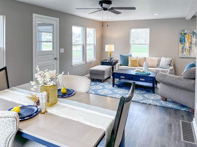 living room featuring a wealth of natural light, dark hardwood / wood-style flooring, and ceiling fan