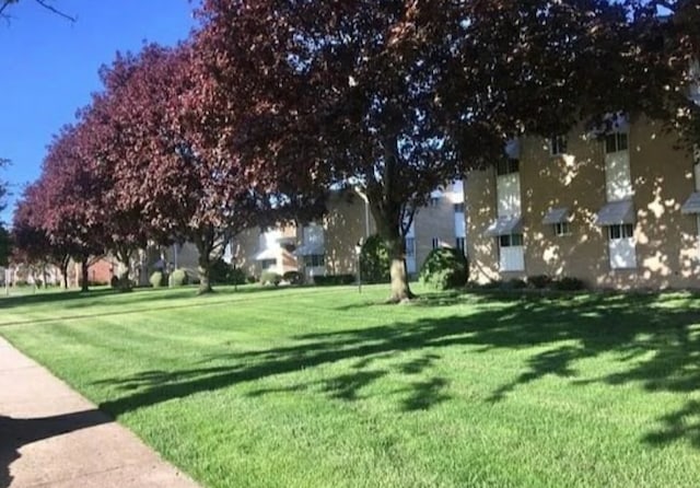 view of property's community with a lawn