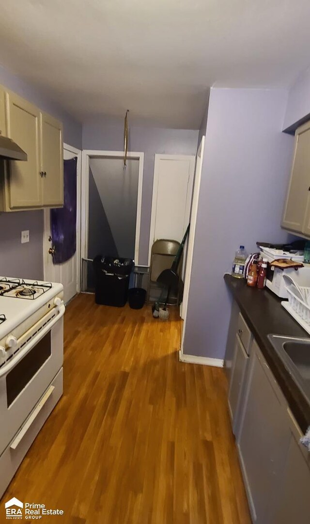 1181 Oleander Dr, Mount Morris, MI 48458 - kitchen with double oven range, under cabinet range hood, wood finished floors, a sink, and dark countertops