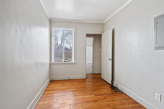 spare room featuring light hardwood / wood-style floors and ornamental molding