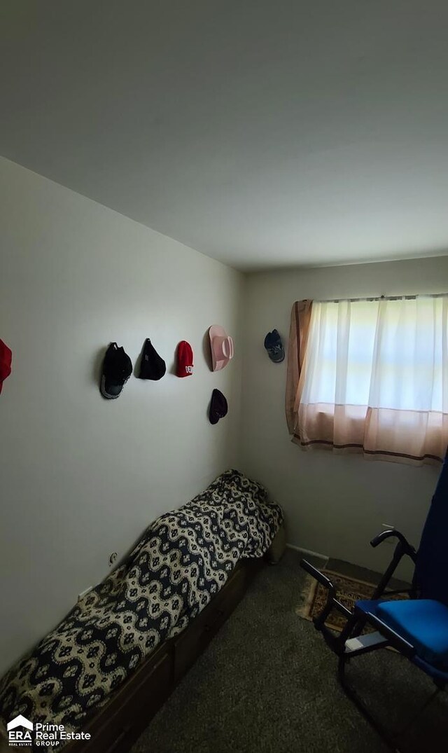 2273 Toby Beth Dr, Flint, MI 48505 - view of carpeted bedroom