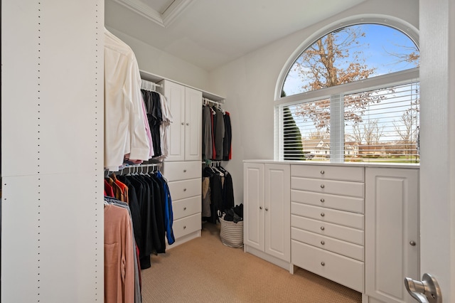 spacious closet with light carpet