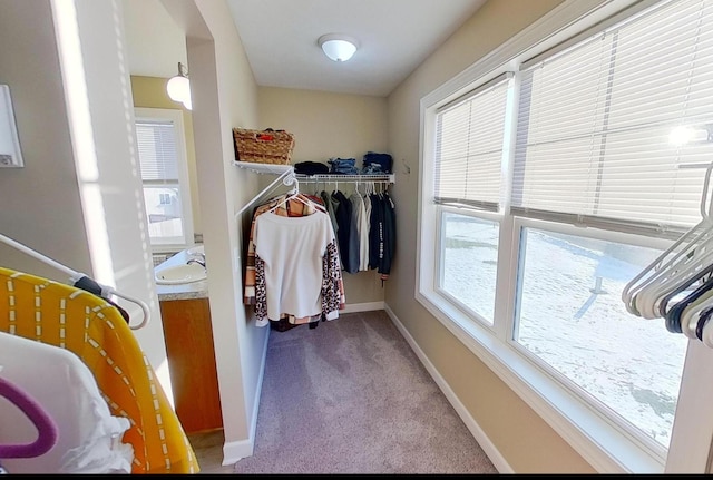 spacious closet with carpet