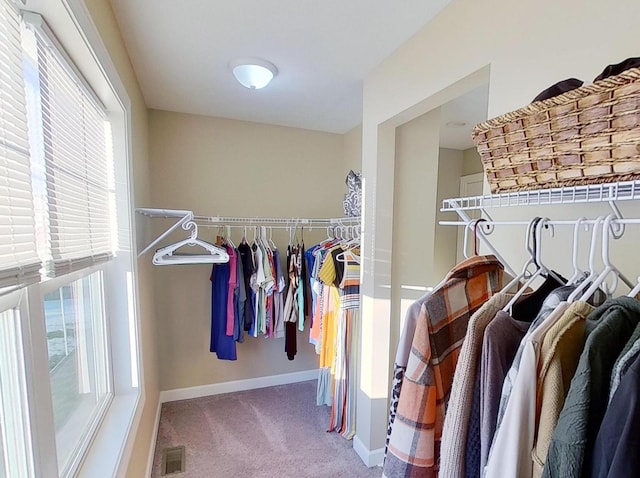 spacious closet with carpet flooring and visible vents