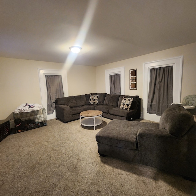 living room with carpet