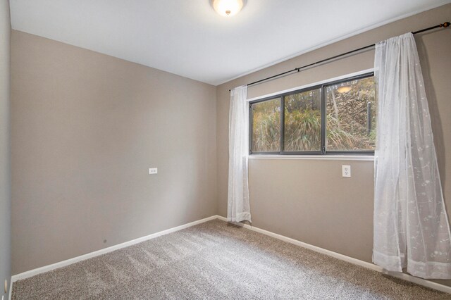 unfurnished room featuring carpet flooring