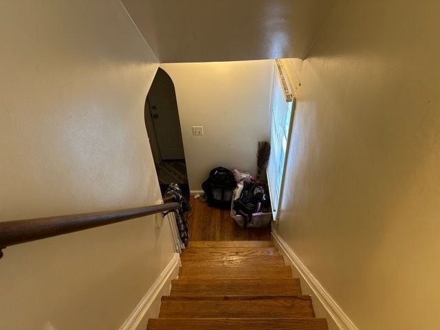 stairs with hardwood / wood-style floors