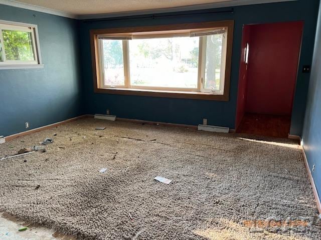 carpeted spare room featuring crown molding