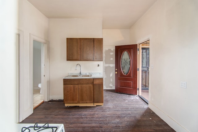 kitchen with dark hardwood / wood-style flooring and sink