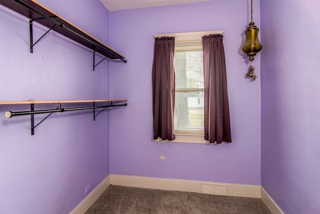 spacious closet featuring carpet