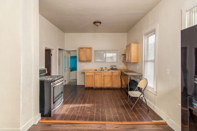 kitchen featuring a healthy amount of sunlight, dark hardwood / wood-style flooring, light brown cabinetry, and stainless steel range with gas stovetop