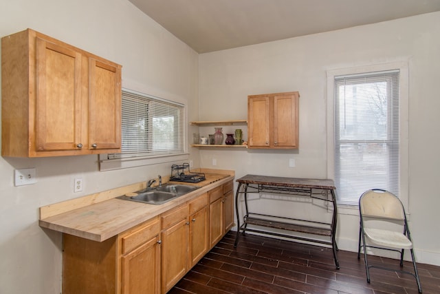 kitchen with dark hardwood / wood-style floors, wood counters, and sink