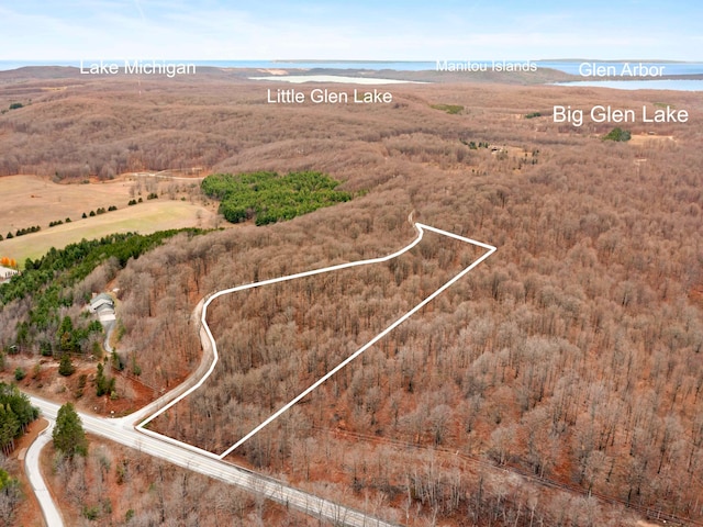 PARCELA S Golden Valley Rd, Empire MI, 49630 land for sale