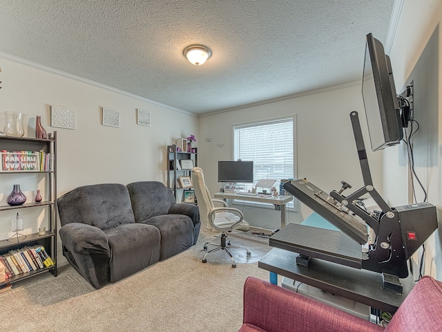 office area with carpet, crown molding, and a textured ceiling