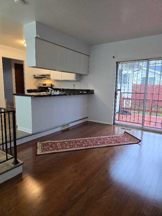 kitchen featuring dark hardwood / wood-style flooring and baseboard heating