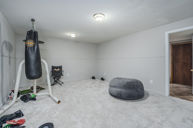 misc room with carpet floors and a textured ceiling