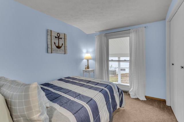11767 Greenbriar Dr, Jerome, MI 49249 - bedroom with carpet flooring, baseboards, and a textured ceiling