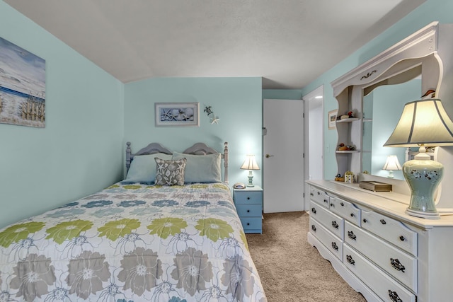 11767 Greenbriar Dr, Jerome, MI 49249 - view of carpeted bedroom