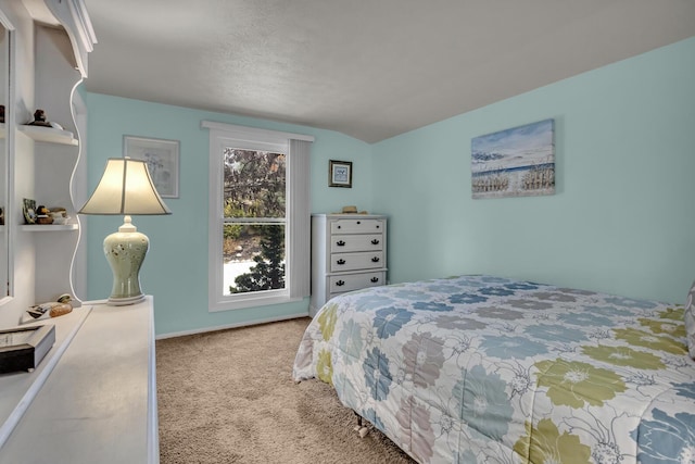 11767 Greenbriar Dr, Jerome, MI 49249 - view of carpeted bedroom