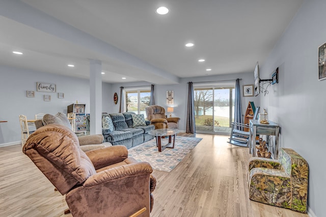 living room with a healthy amount of sunlight and light hardwood / wood-style floors