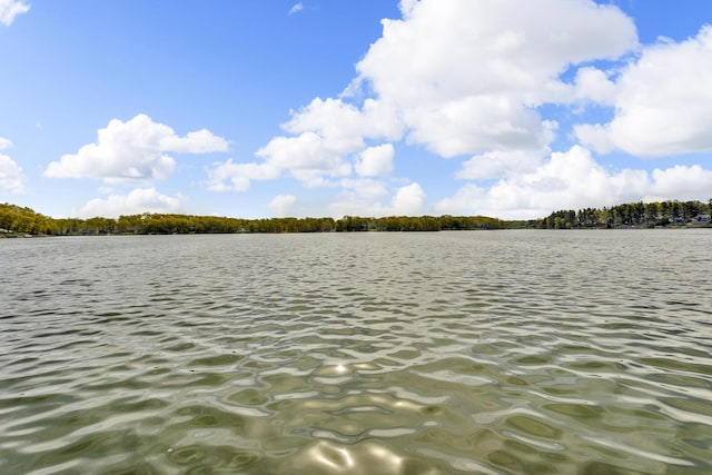 11767 Greenbriar Dr, Jerome, MI 49249 - water view