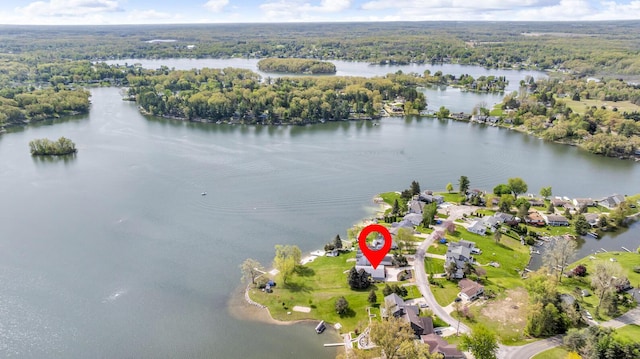 11767 Greenbriar Dr, Jerome, MI 49249 - aerial view of property and surrounding area with a large body of water and a heavily wooded area