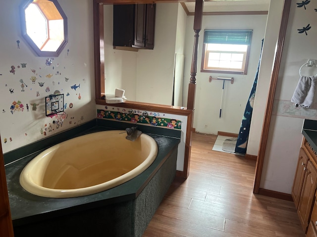 bathroom with wood-type flooring, vanity, and a tub