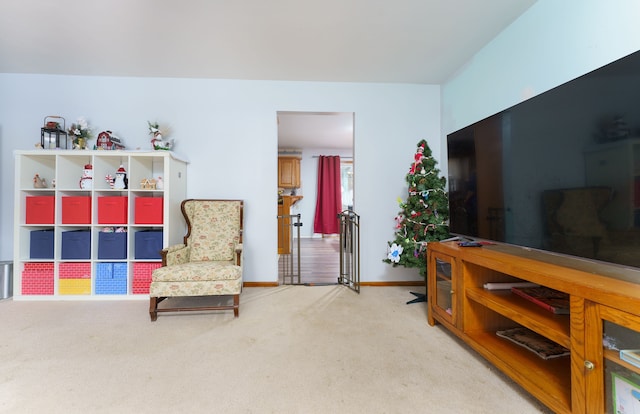 sitting room featuring carpet flooring