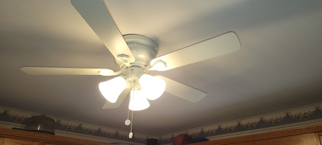 details featuring ceiling fan