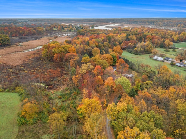 aerial view featuring a view of trees