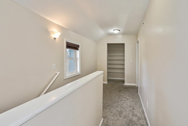 227 1st St, Milan, MI 48160 - photo 12