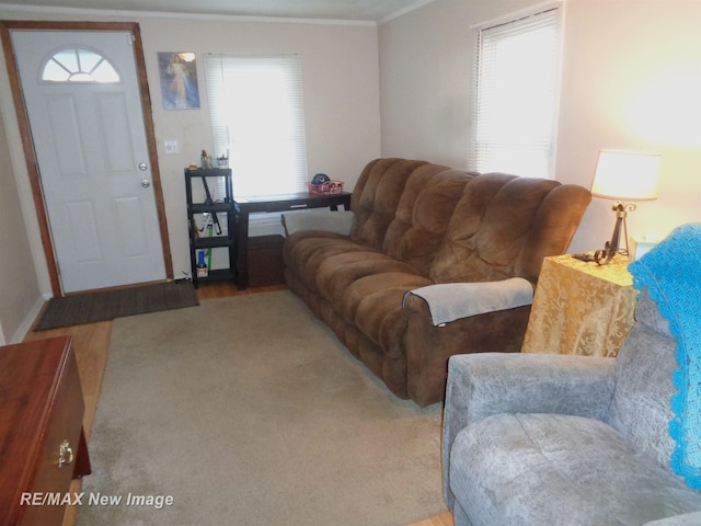 carpeted living room with a healthy amount of sunlight and ornamental molding