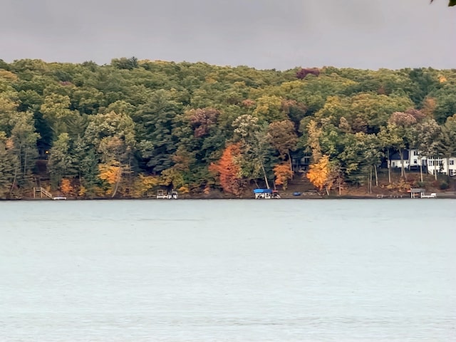 view of water feature featuring a wooded view