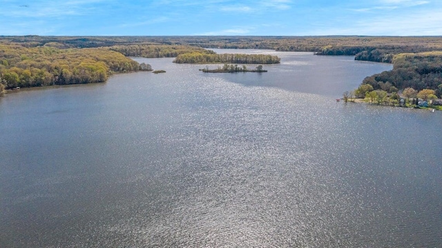 property view of water with a forest view