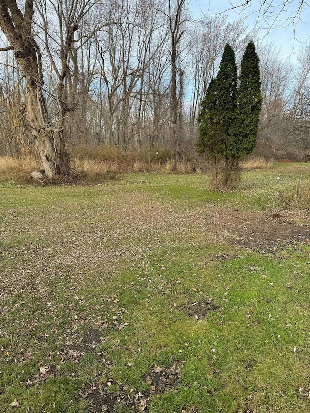 518 W Belle Ave, Saint Charles, MI 48655 - view of yard