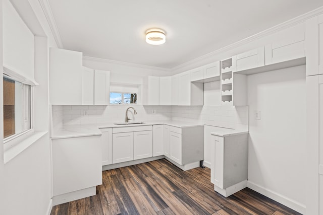 3897 Sand Rd, Port Austin, MI 48467 - kitchen featuring a sink, tasteful backsplash, dark wood finished floors, and ornamental molding
