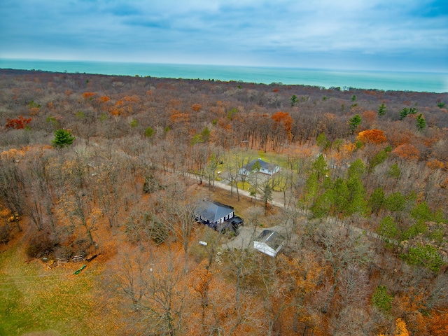 3897 Sand Rd, Port Austin, MI 48467 - view of subject property with a large body of water and a heavily wooded area