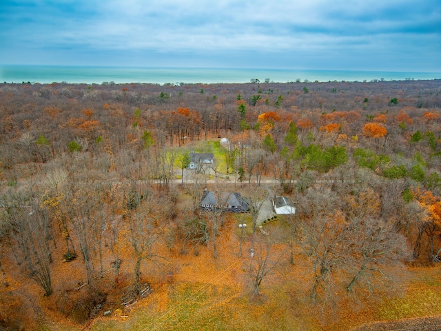 3897 Sand Rd, Port Austin, MI 48467 - aerial view of property and surrounding area with a forest