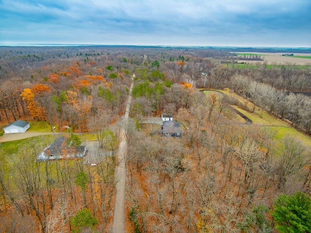 3897 Sand Rd, Port Austin, MI 48467 - aerial overview of property's location with a heavily wooded area and rural landscape