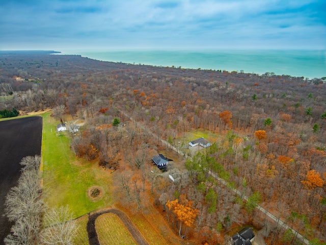 3897 Sand Rd, Port Austin, MI 48467 - aerial view of property's location featuring a forest
