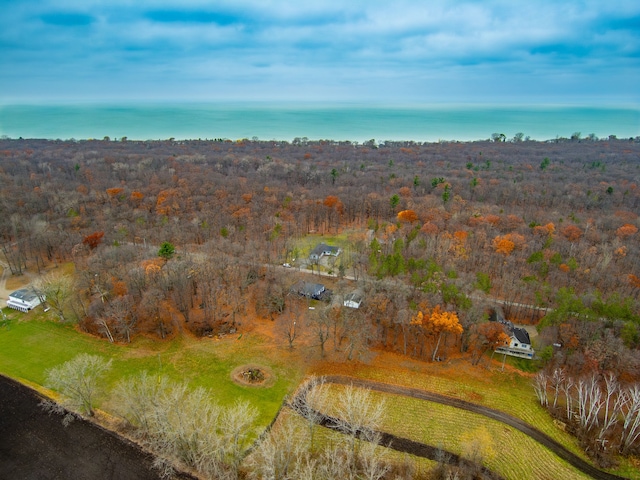3897 Sand Rd, Port Austin, MI 48467 - aerial overview of property's location featuring a heavily wooded area