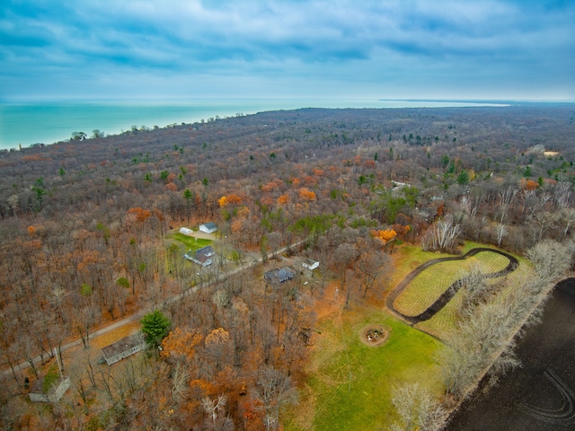 3897 Sand Rd, Port Austin, MI 48467 - aerial view of property and surrounding area featuring a forest and a large body of water