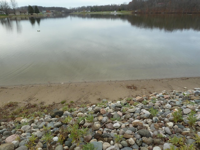 14600 W Diane Dr, Camden, MI 49232 - water view