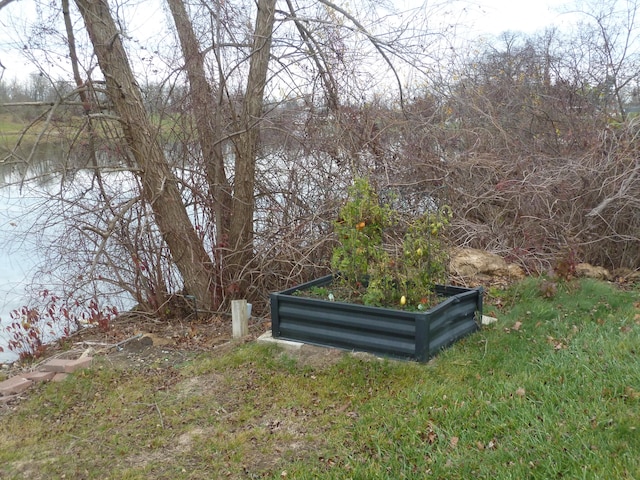 view of yard with a water view